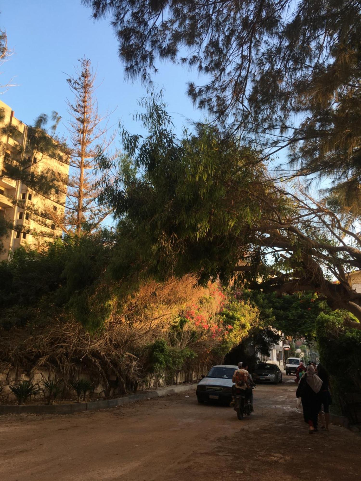 Apartament Bianky Paradise Beach Alexandria